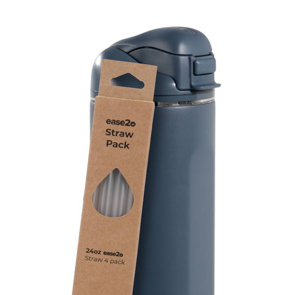 Ease2o Straws 4 Pack 24oz T0